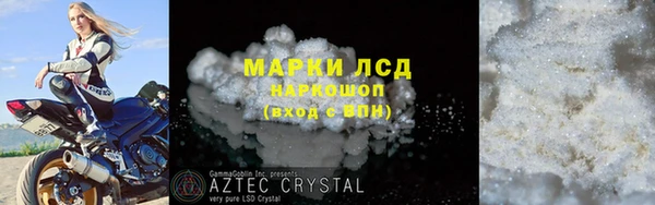ПСИЛОЦИБИНОВЫЕ ГРИБЫ Алзамай