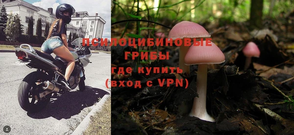 ПСИЛОЦИБИНОВЫЕ ГРИБЫ Алзамай