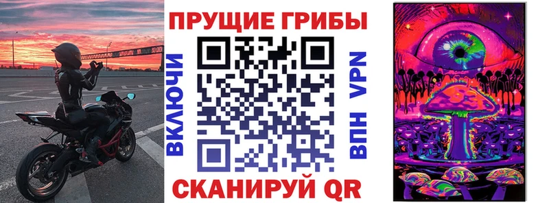 Псилоцибиновые грибы прущие грибы Пошехонье